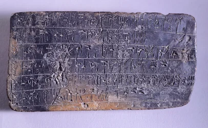 ピロス (ギリシャ)、ミケーネ文明、紀元前 13 世紀のネストール宮殿のアーカイブからのリニア B、テラコッタに刻まれたタブレット