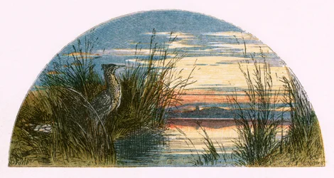 「人けのない村」のイラスト