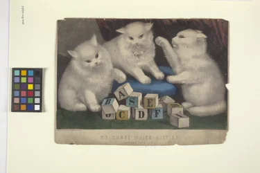 Meus três gatinhos brancos (litografia colorida à mão)