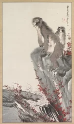 小川のそばのサル