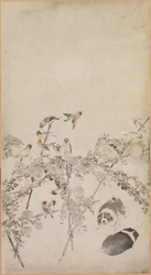 子犬、スズメ、菊、1754年から1799年。