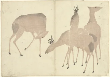4頭の鹿 光琳の画集（連載タイトル） 光琳がうう（連載タイトル）