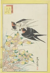 ホーミングスワローズと紅葉、1859年（カラー木版画）