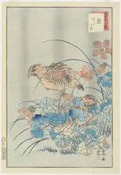 ブッシュの2羽のウズラ、1859（色木版画）