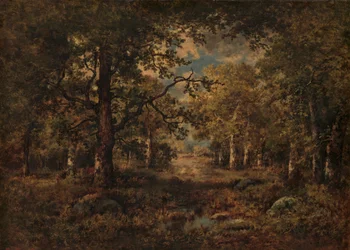 木々の眺め：フォンテーヌブロー、1873年。