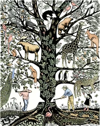 第6次大量絶滅