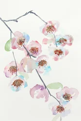 可憐なピンクの花