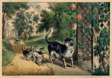 猫の帰還、1874-78年。