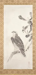 枝にとまるタカ（紙にインク）