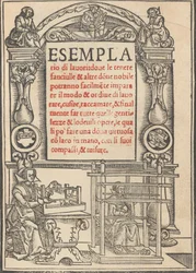 サンプル作品、1529 年 8 月、1529 年 8 月。