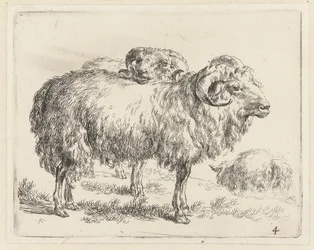 Twee rammen en een schaap シャーペン（シリーズタイトル） ニコライ・ベルケムのスタジオとアートによる生き生きとした動物と水でプリントされた強い空気感 (シリーズ タイトル)