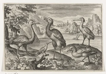2 つのダチョウの間のタンチョウ 鳥と虫（連載タイトル）