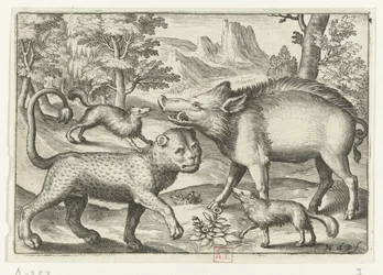 ヒョウ、イノシシ、2 匹の犬 Animalivm qvadrvpedvm (シリーズタイトル) 風景の中の動物（シリーズタイトル）