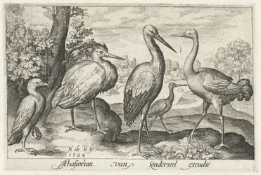 コウノトリ、ツル、サギ、ヘラサギ 鳥と虫（連載タイトル）
