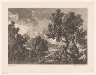 水辺の木のある岩の多い風景