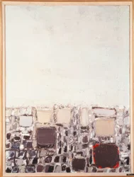 屋根 / 塗装