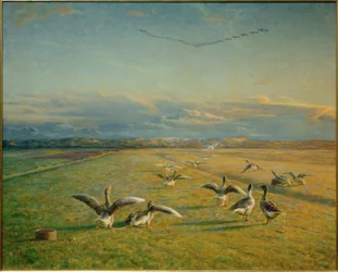 秋の行列。野生のガチョウと国内ガチョウ