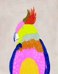 色鮮やかな熱帯のオウム