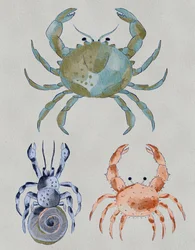 「オーシャン・クラブス」の水彩画