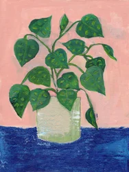 色鮮やかな鉢植えの観葉植物