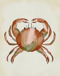 水彩画のカニ