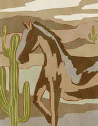 野生の砂漠の馬
