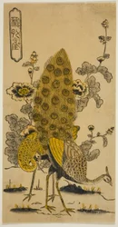 タチアオイとクジャク（葵に孔雀）