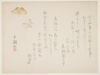 （蝶）