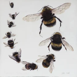 Bombus, 2015（ジェッソを塗った木にアクリル絵具）