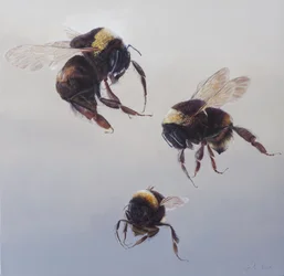 Bombus flight 1, 2011（アクリル、木）