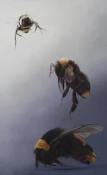 Bombus flight 2, 2011（アクリル、木）