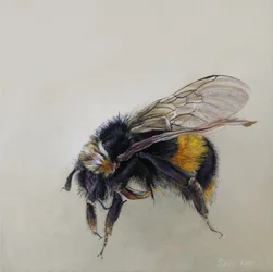 Bombus terrestris 1 (a), 2008 (アクリル、木)
