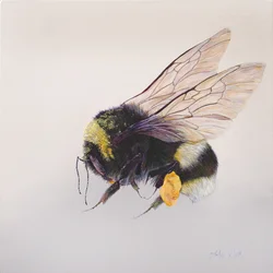 花粉嚢 2, 2011 （アクリル、木）