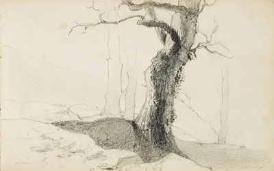 「バスクの国」というタイトルのアルバムからの描画、1862〜63