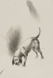 彼［ナレーターの犬］はとても奇妙な目つきで私を見つめ続けていた。