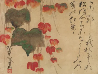 1732年以降の秋のアイビー。