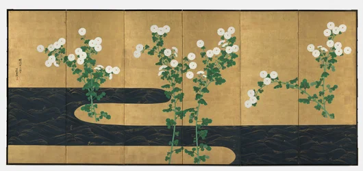 小川の菊