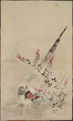 雉と草