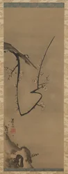 サクラ、掛軸、1700年頃（絹にインク）