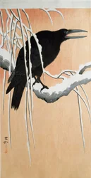 雪の枝の上の烏 キシログラフィーと大原古邨（1877-1945）の日本画プリント 1910年 個人蔵 DR