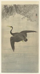 飛行中の鵜