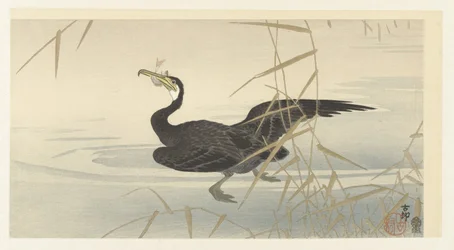 鵜と魚