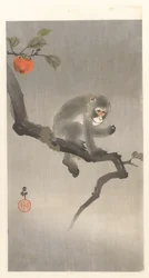 書きブームのあなた