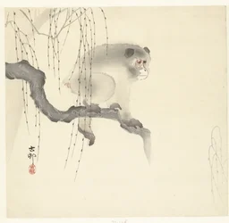 木の枝に猿