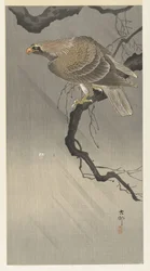 ワシの枝
