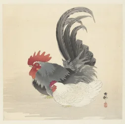 鶏と雄鶏