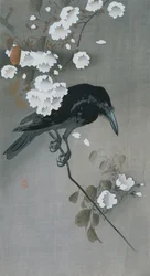 桜の枝にいるカラス