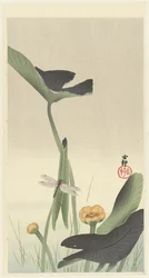 トンボと蓮の花 1900-30年頃 （カラー木版画）