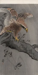 木の幹に翼を広げた鷲（カラー木版画