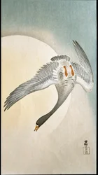 月光に照らされた鴨の飛翔 キイログラフィと日本画プリント 大原幸村（1877-1945） 1908年 個人蔵 DR